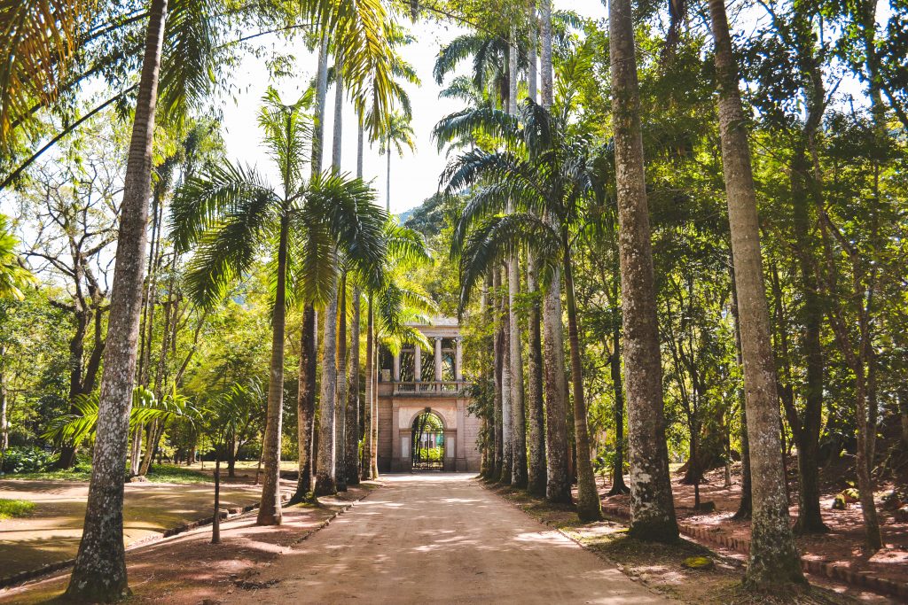 Botanic Gardens in Rio de Janeiro