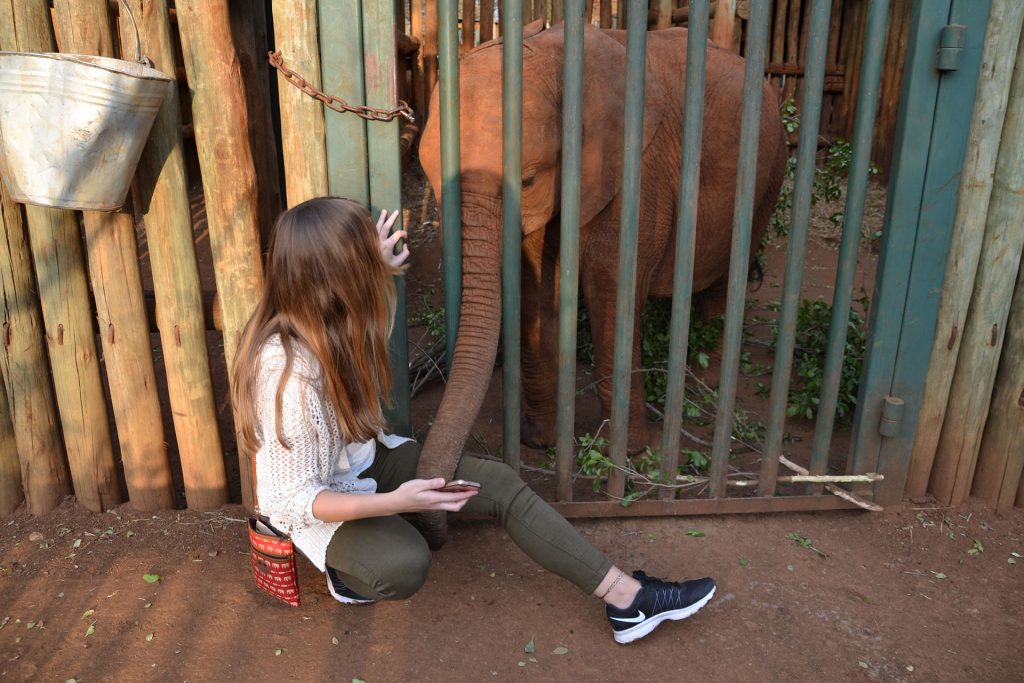 Girl and small elephant playing