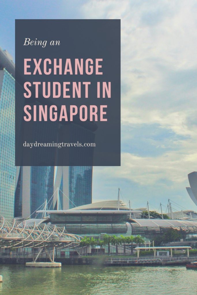 Exchange student in Singapore Pinterest Pin