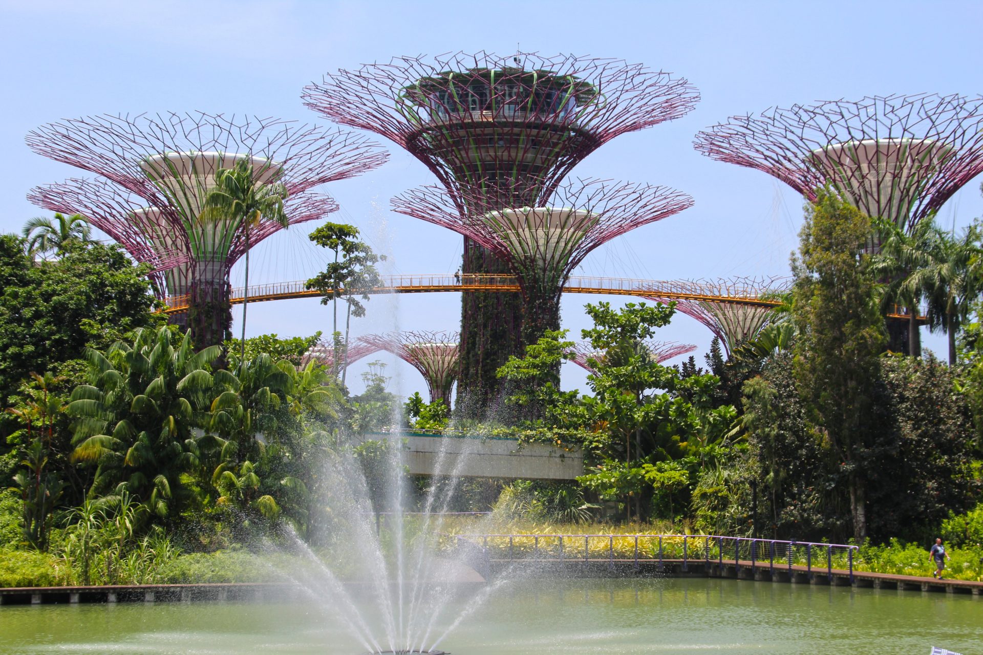 Singapore Gardens by the Bay