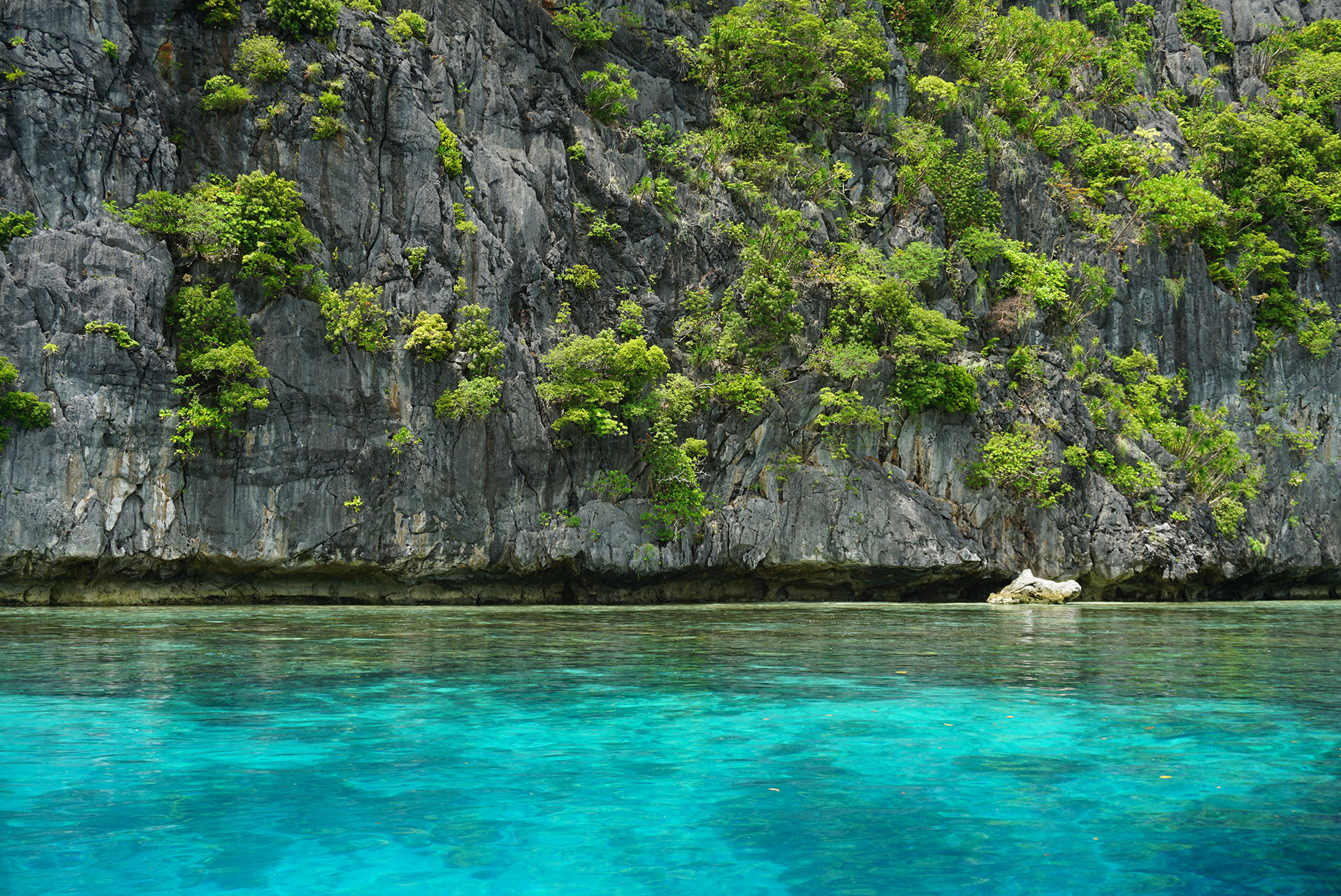 Turquoise water Island Hopping in El Nido