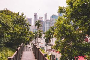 View of Singapore from small walkway