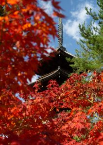 Pagoda at Ninna-ji temple in Kyoto