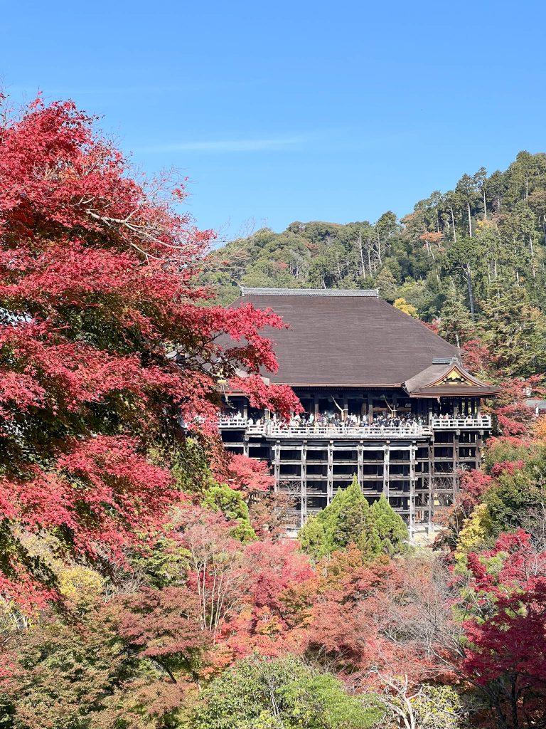 Kyomizu dera guide to fall foliage in Kyoto