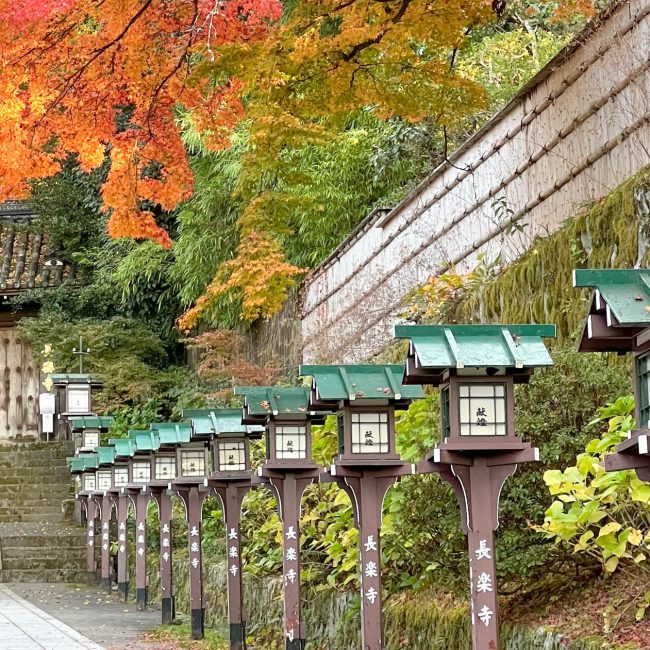 guide to fall foliage in Kyoto blog header