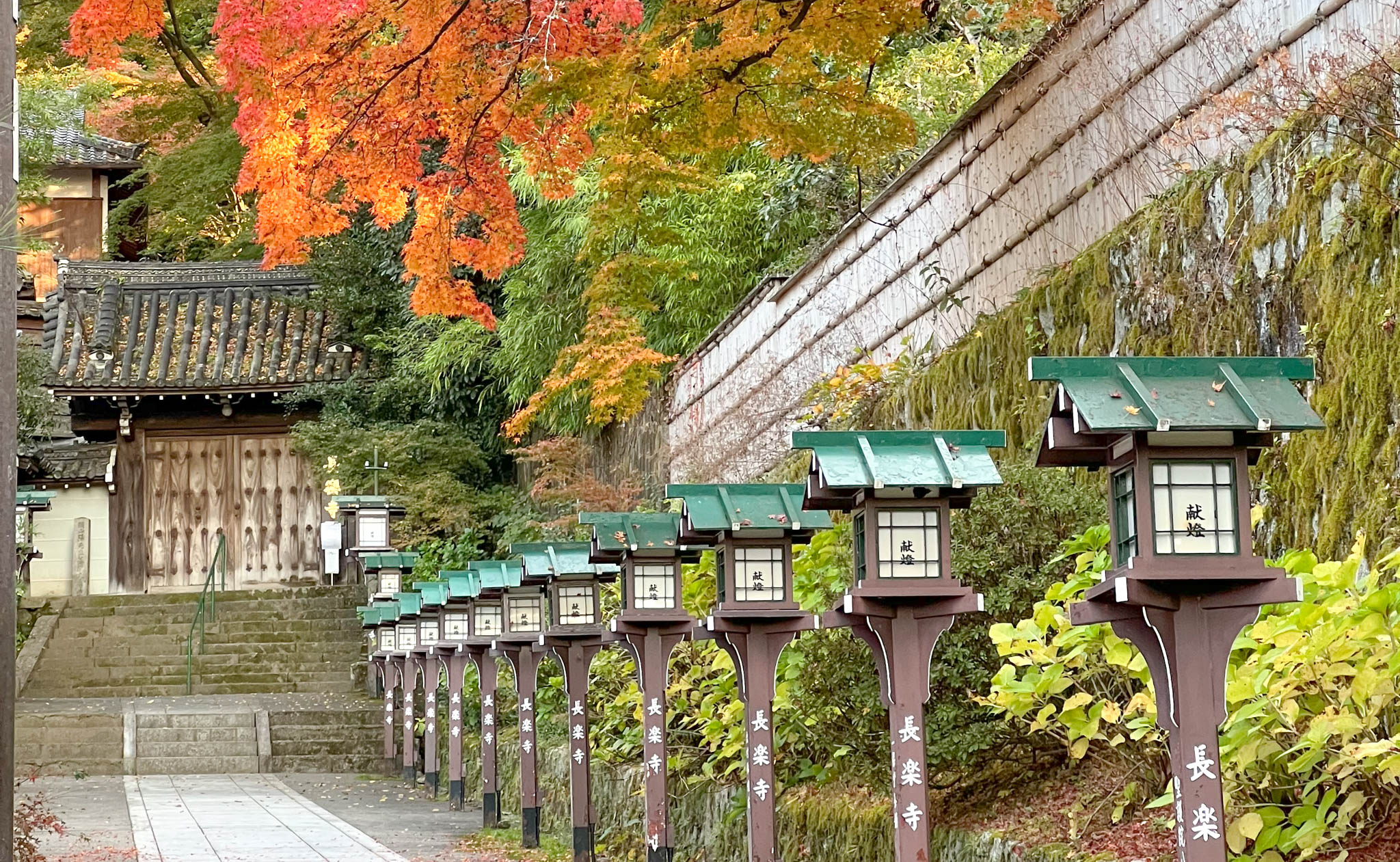 guide to fall foliage in Kyoto blog header