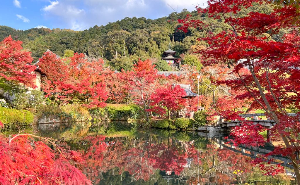 Fall foliage behind lake at Eikando Temple in Kyoto