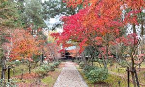 fall foliage in Kyoto temple