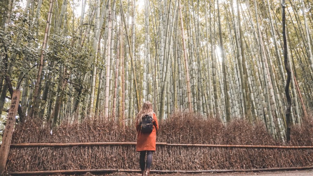 Woman in front of Arashiyama Bamboo Grove