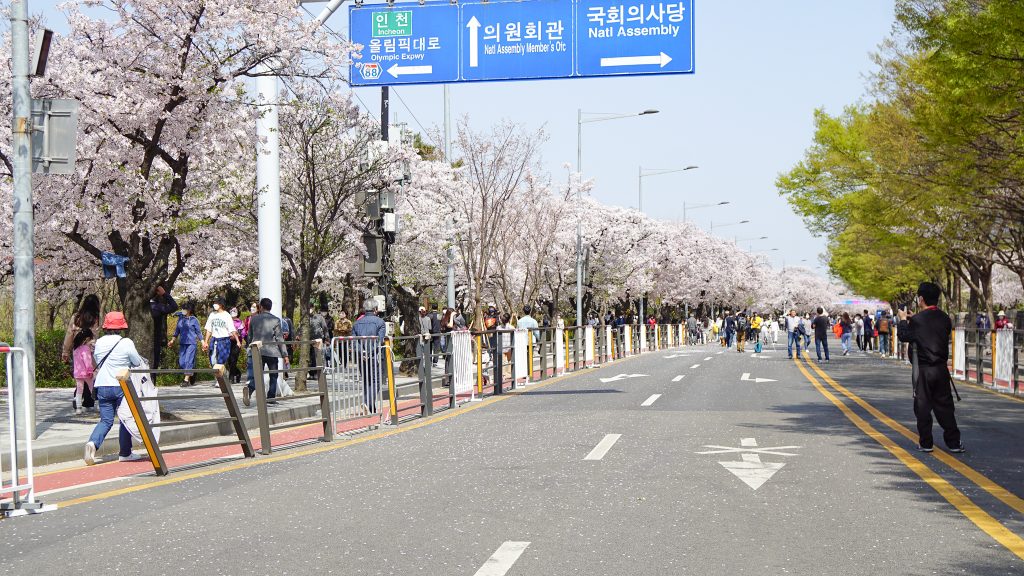 Crowds at Yeouido Cherry Blossoms Festival Seoul