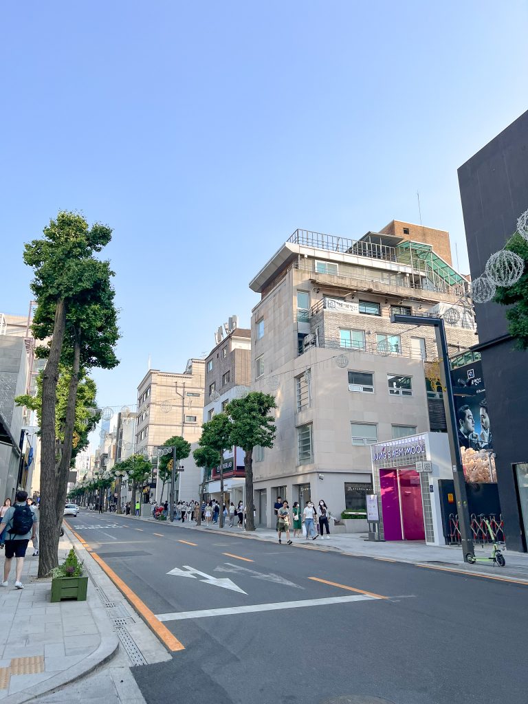 Garosugil Shopping Guide Seoul