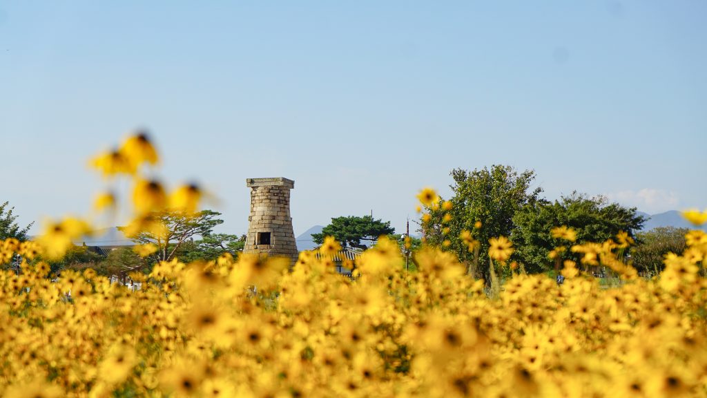 Guide to Gyeongju Observatory behind flowers
