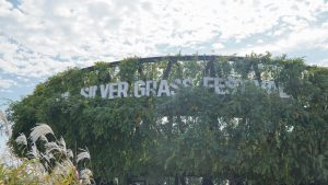 Silver Grass Festival in Seoul Sign