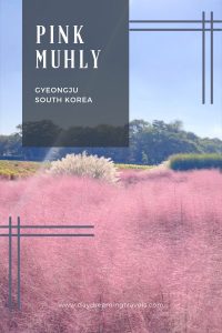 Pink grass south korea pinterest pin