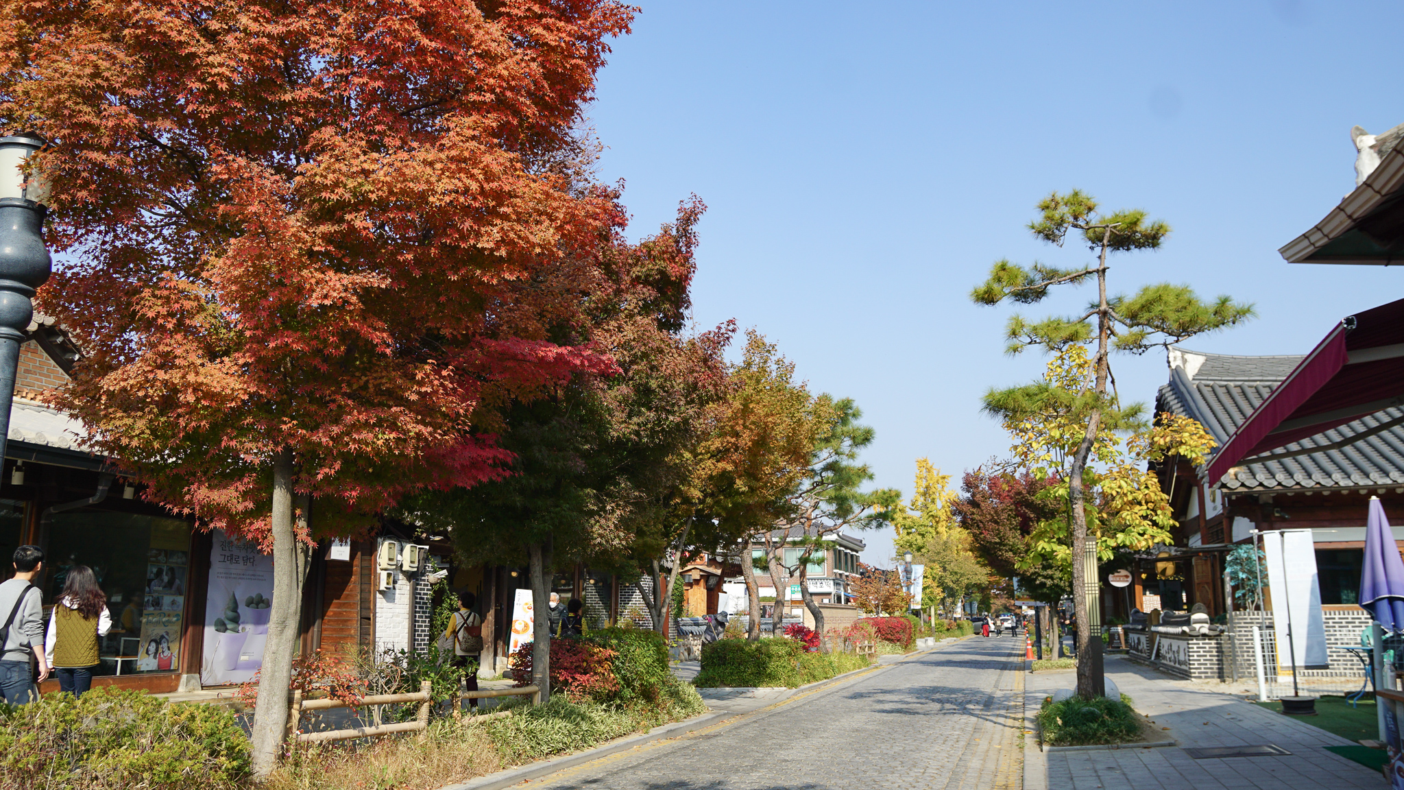 Visiting Jeonju Hanok Village with autumn trees