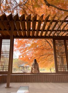 Girl sitting in wooden window frame at Jeonju Arboretum