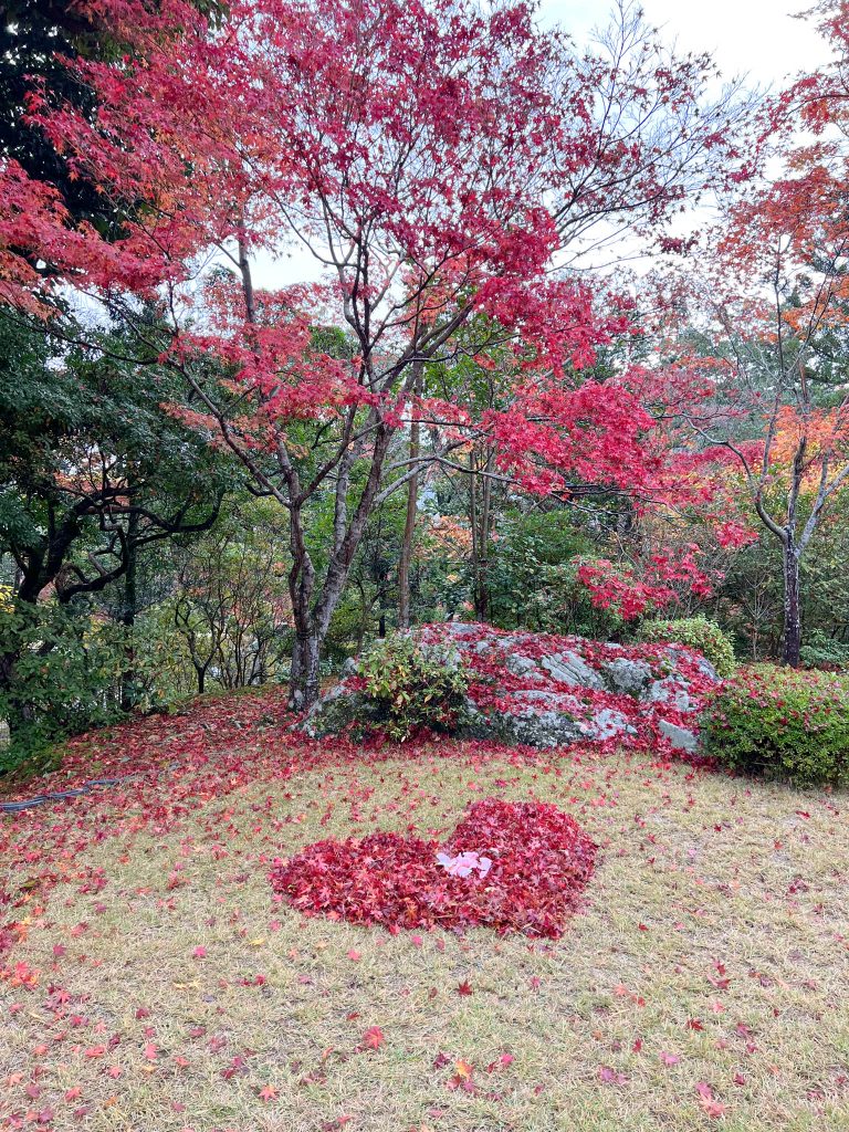 heart made out of leaves in Yoshikien Garden in Nara