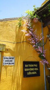 yellow wall with flowers going up in hoi an