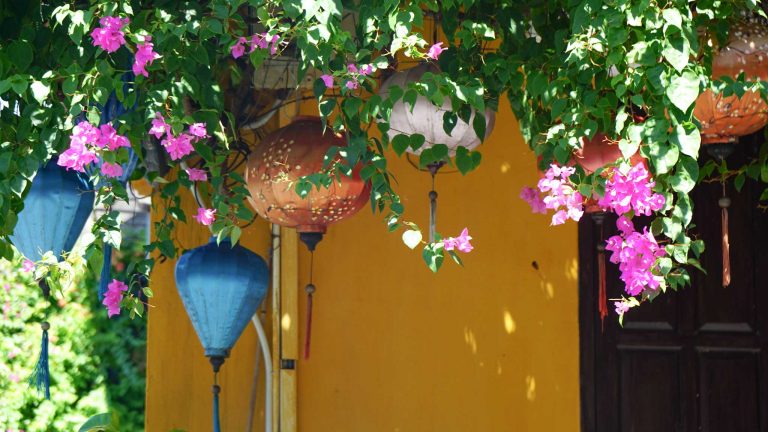 Colorful lanterns and flowers in Hoi An