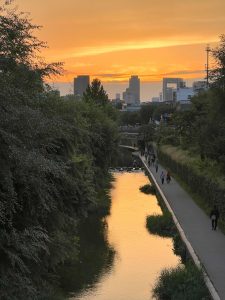 sunset at Cheonggyecheon Stream in Seoul