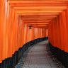 Things to do in Kyoto: Fushimi Inari Shrine