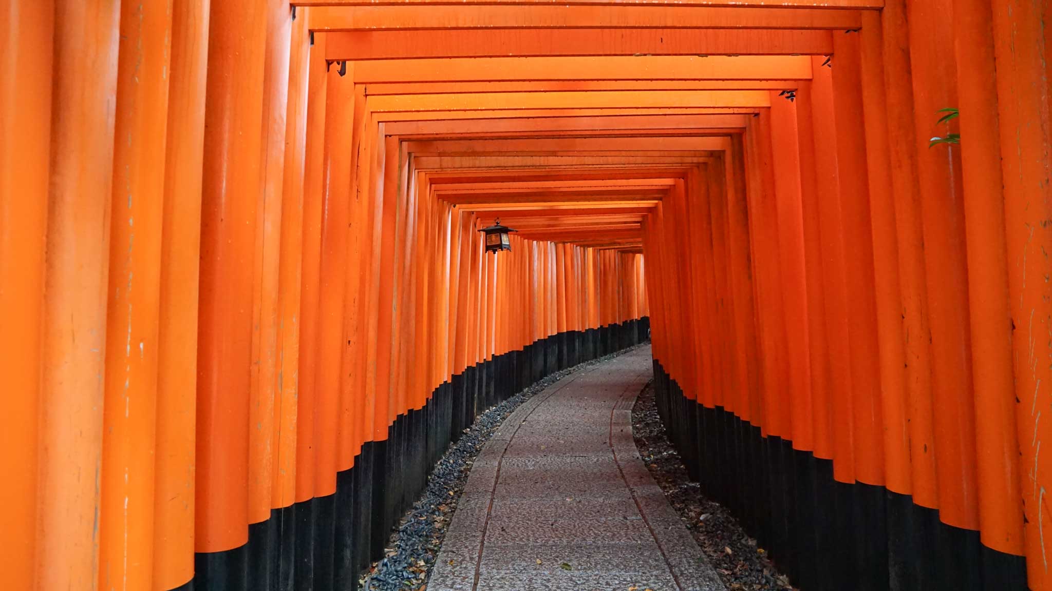 Things to do in Kyoto: Fushimi Inari Shrine