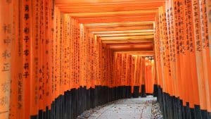 Fushimi Inari Torii Gates in Kyoto