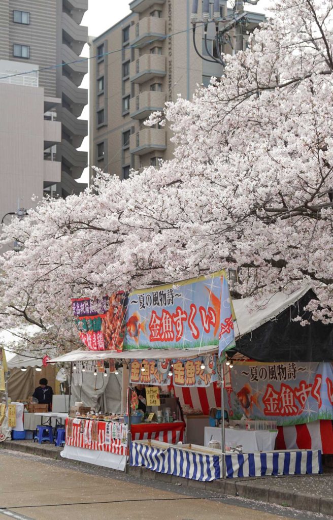 Food stalls at Nishi Park with Sakura in Fukuoka