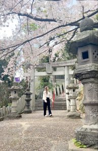 Woman under Cherry Blossom tree in Fukuoka at Atago Shrine