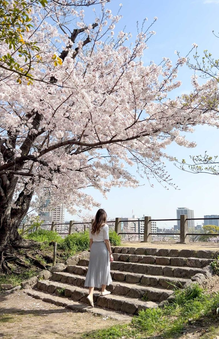 Woman walking on stairs under Cherry Blossom tree at Maizuru Park Fukuoka