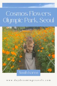 Wildflowers in the Olympic Park in Seoul Pinterest Pin 1