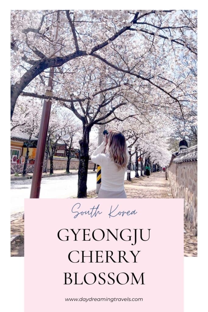 Cherry Blossom in Gyeongju Pinterest Pin 3