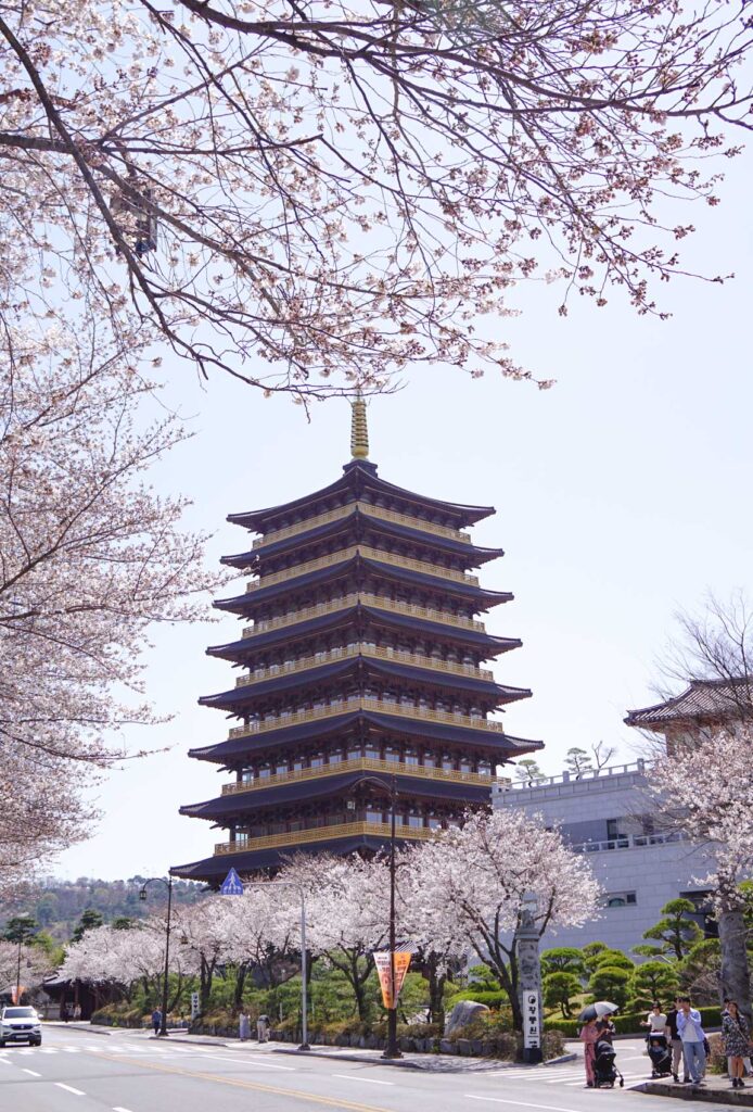 HWANGNYONGWON next to the road during spring time