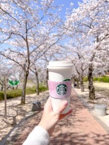 Starbucks Cherry Blossom sleeve at Bomunho Lake