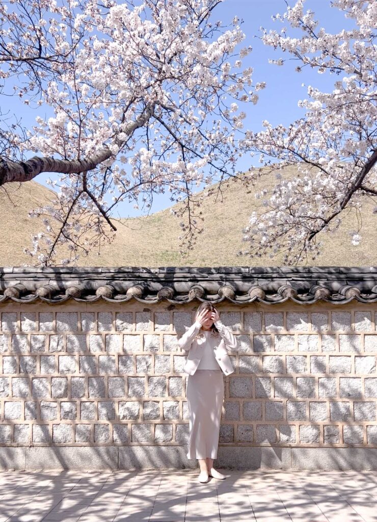 woman standing in front ok Korean stonewall with ancient tombs in the back during cherry blossoms in Gyeongju