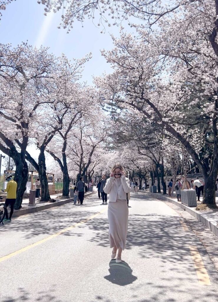 woman standing on the road between blooming sakura trees in Korea